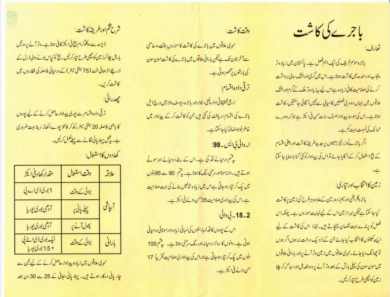 Millet Meaning in Urdu