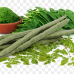 Read more about the article Moringa in Urdu / Sohanjna / سوہانجنا کی کاشت