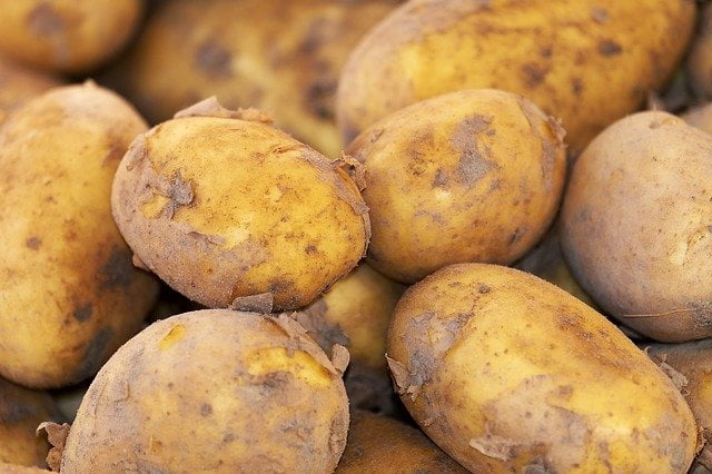You are currently viewing Potato Price in Pakistan / آلو کی کاشت کا طریقہ