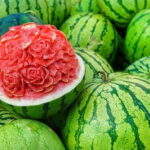 Read more about the article Watermelon Cultivation in Pakistan / تربوز کی کاشت
