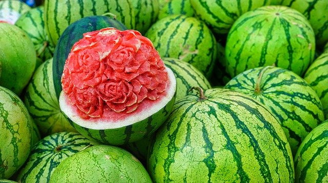 You are currently viewing Watermelon Cultivation in Pakistan / تربوز کی کاشت