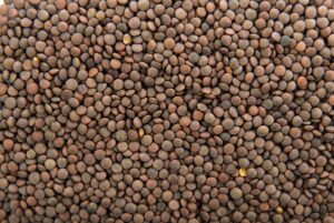 Read more about the article Lentil Cultivation in Pakistan / مسور کی کاشت