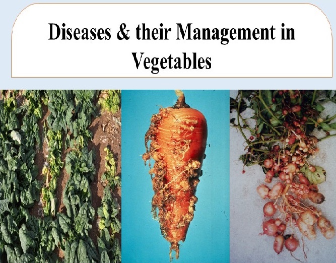 vegetable diseases
