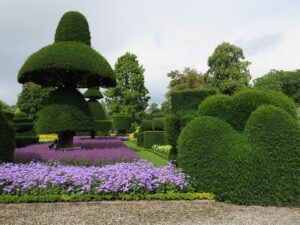 Read more about the article Topiary