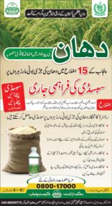 rice pesticides subsidy