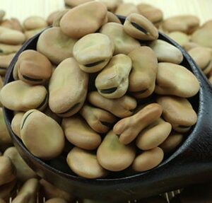 Read more about the article باکلہ – Fava beans / Horse Beans