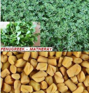 Read more about the article Methi Dana – Fenugreek Seed / میتھرے