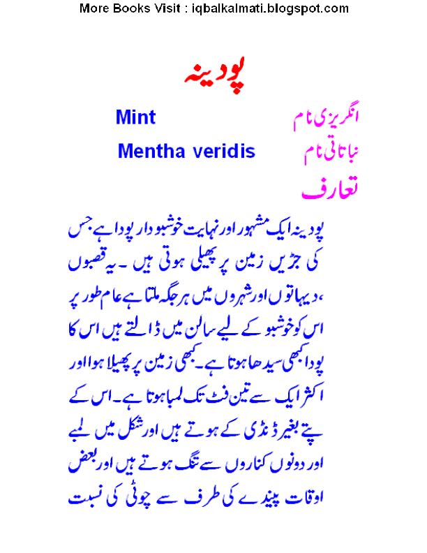 Paper Mint Meaning In Urdu