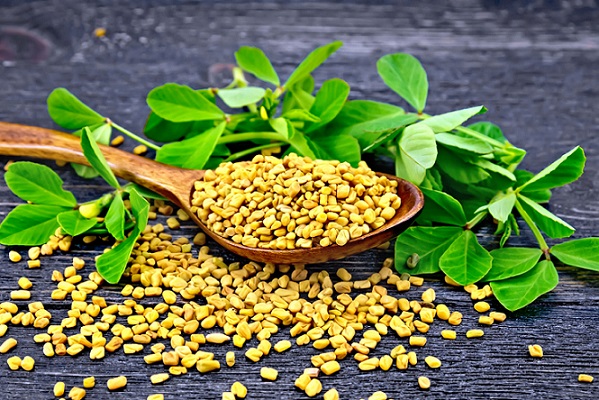 methi-fenugreek-in-urdu-fasalbachao