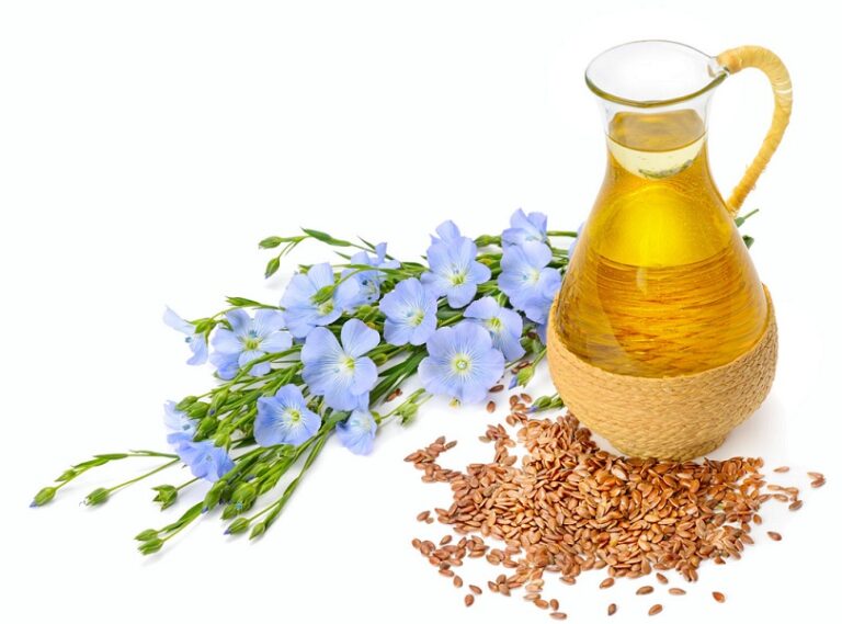 Cultivation of Flax Seeds in Urdu السی کی کاشت