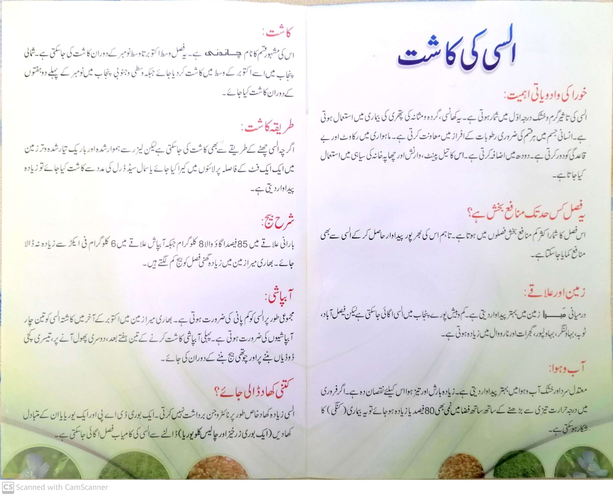 Cultivation of Flax Seeds in Urdu السی کی کاشت