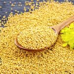 Read more about the article Mustard Seeds in Urdu – رائی-سرسوں کے بیج کی کاشت
