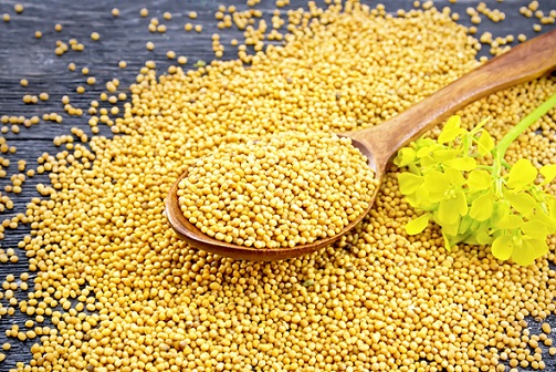 Mustard Seeds In Urdu