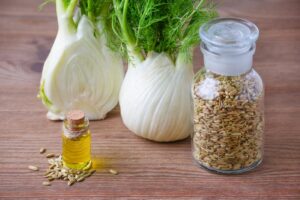 Read more about the article Sonf / Fennel Cultivation in Pakistan – سونف کی کاشت