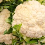Read more about the article Gobhi / Cauliflower in Pakistan – پھول گوبھی کی کاشت