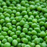 Read more about the article Matar ki Kasht | Peas in Pakistan | مٹر کی کاشت