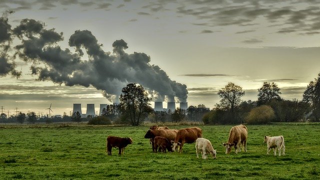 climate change and agriculture