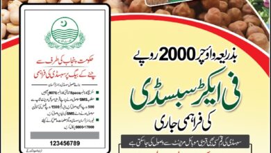 چنے پر سبسڈی