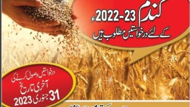 Wheat Yield Competitions 2022