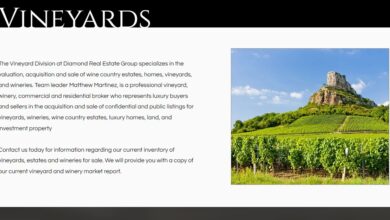 Vineyards For Sale
