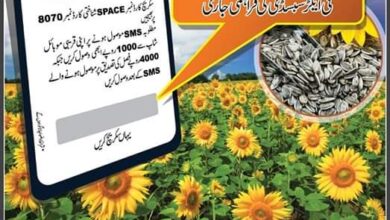 Subsidy on Sunflower