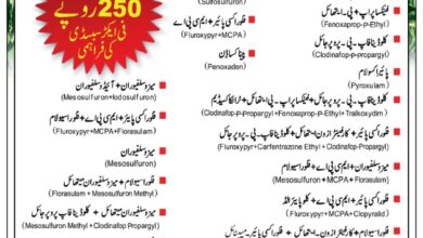 جڑی بوٹی مار زہروں پر سبسڈی