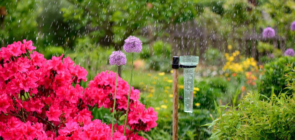 Best 10 Uses Of Rain Gauge In Agriculture Fasalbachao