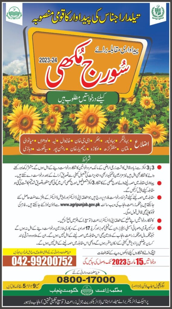 پیداواری مقابلہ برائے سورج مکھی