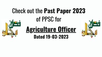 Past Paper 2023