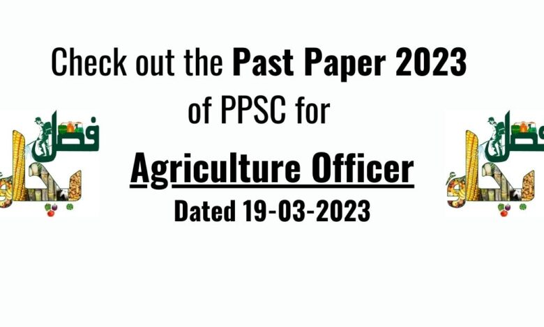 Past Paper 2023
