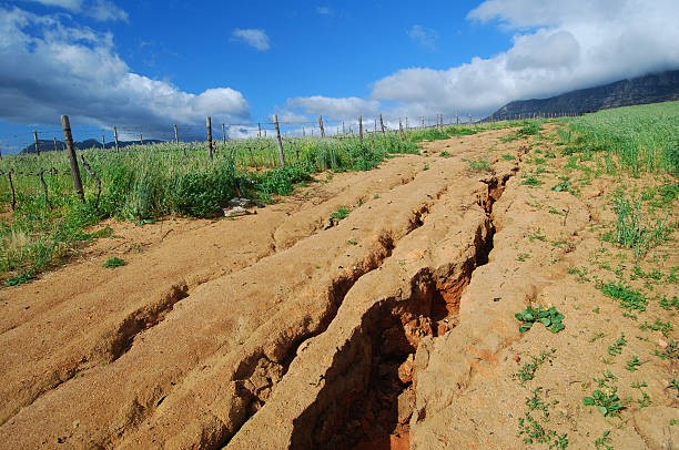 Prevent Erosion