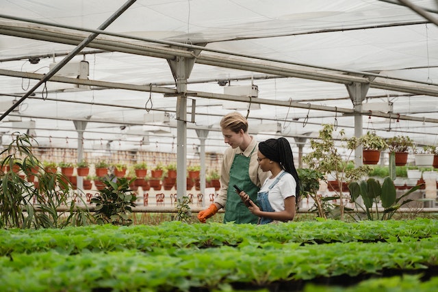 Indoor Agriculture