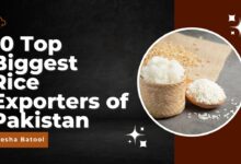 Rice Exporters of Pakistan