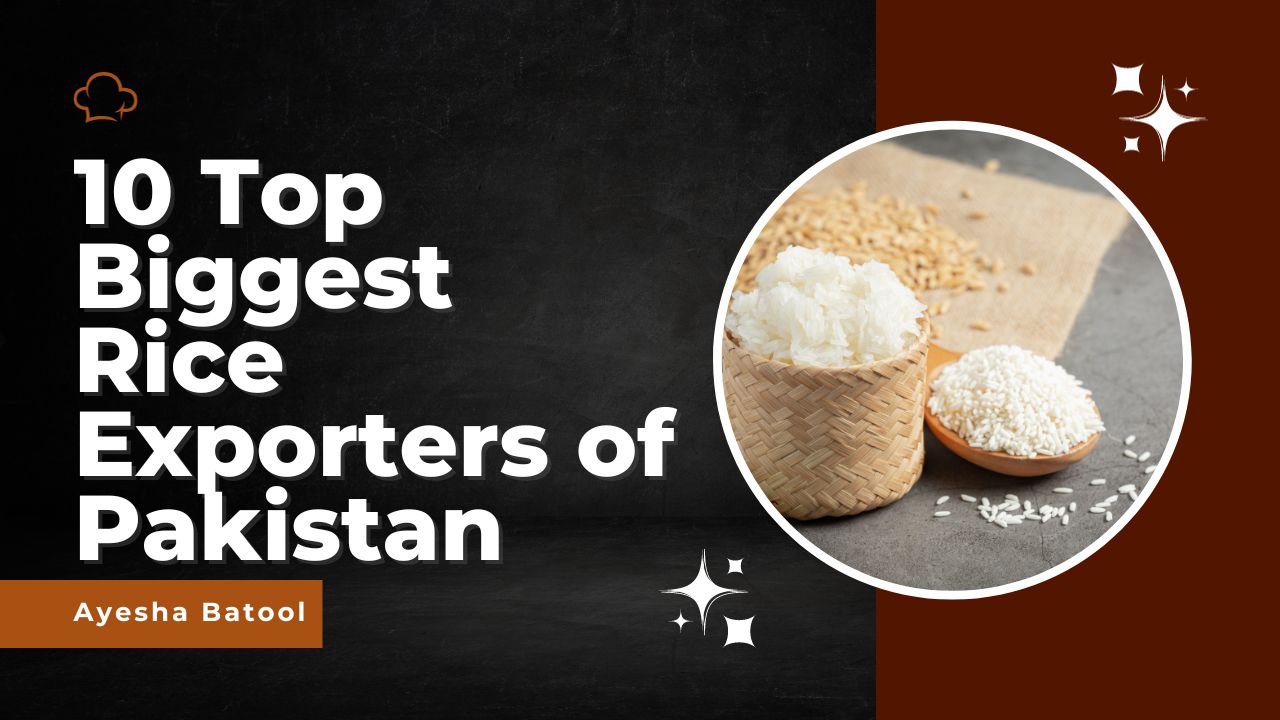 10 Top Biggest Rice Exporters of Pakistan