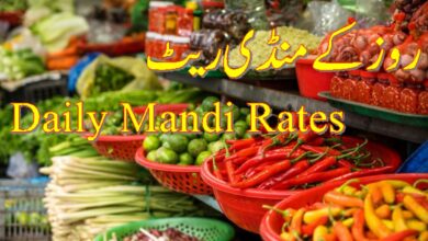 Daily Mandi Rates