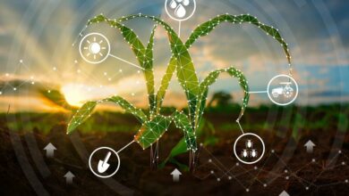 IoT in Agriculture