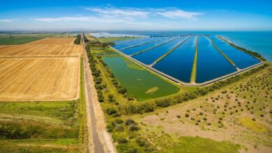 Wastewater Treatment Equipment