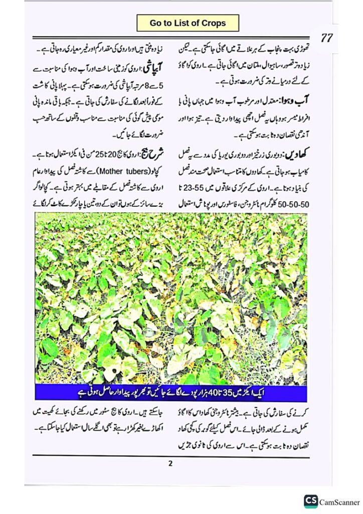 Colocasia in Urdu