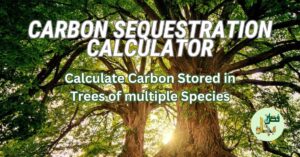 Carbon Sequestration Calculator – Check Carbon Stored in Trees