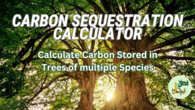 Carbon Sequestration Calculator