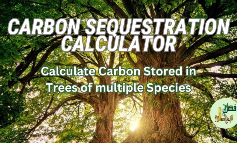 Carbon Sequestration Calculator