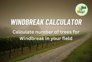 WindBreak Calculator for your Farm