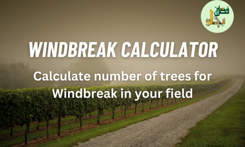 WindBreak Calculator