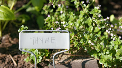 Personalized Garden Signs