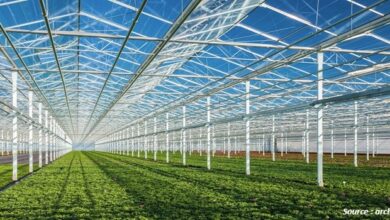 Commercial Greenhouse