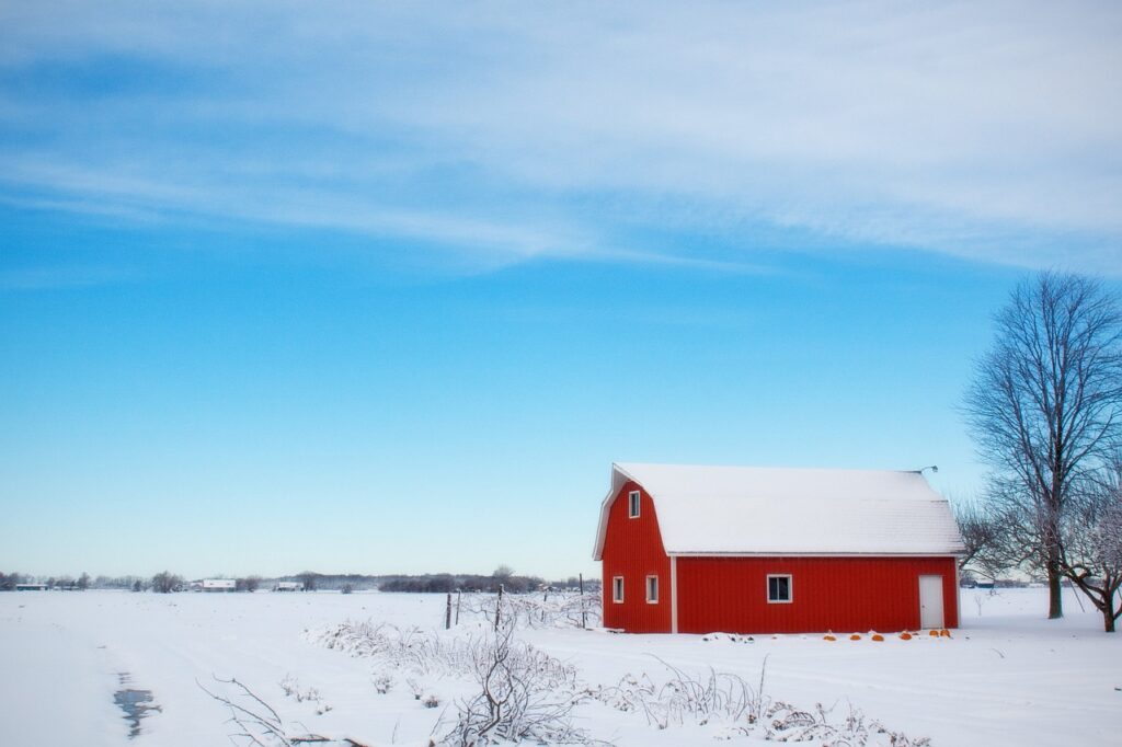 Steel Barns