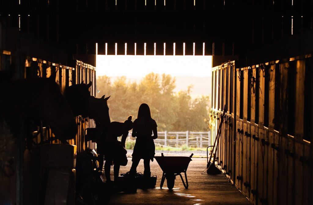 Steel Barns
