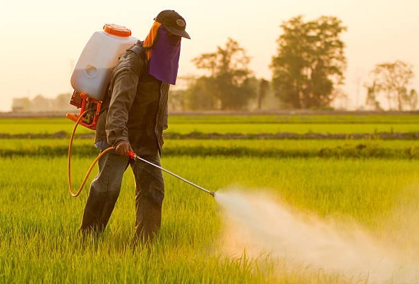 Pesticide Bans