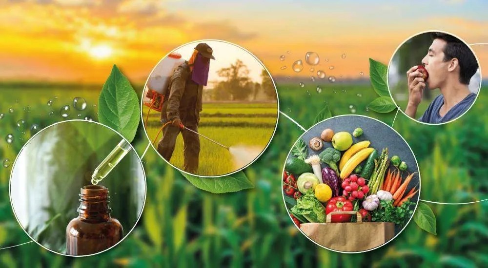Pesticide Bans