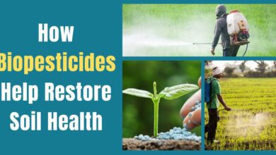 Biopesticides